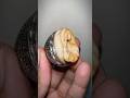 Cincin batu sakral tundung bawuk alam