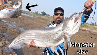  अचानक बोअल मछलि का हमला ! Big size wallagoattu fish hunt ! Spoon fishing 🎣