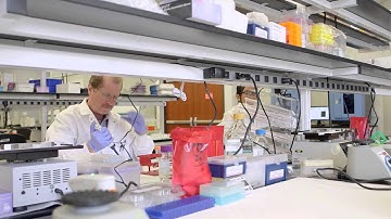 What’s Your System for Cell-Based Assay Method Selection?