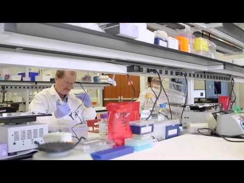 What’s Your System for Cell-Based Assay Method Selection?