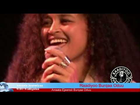   Haala Yeroo irraatti Marii Qondaala Adaanaa Bantii, Itti Gaafatamaa Sab-qunnamtii Siivilii, Jaarmiyaa WBO Waliigalaa waliin taasifamee 