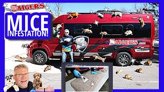 Code Red Express RV Overrun by MICE - Immediate Deep Clean Required