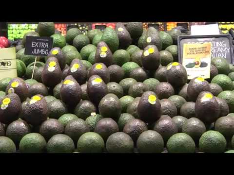 Mulching avocados