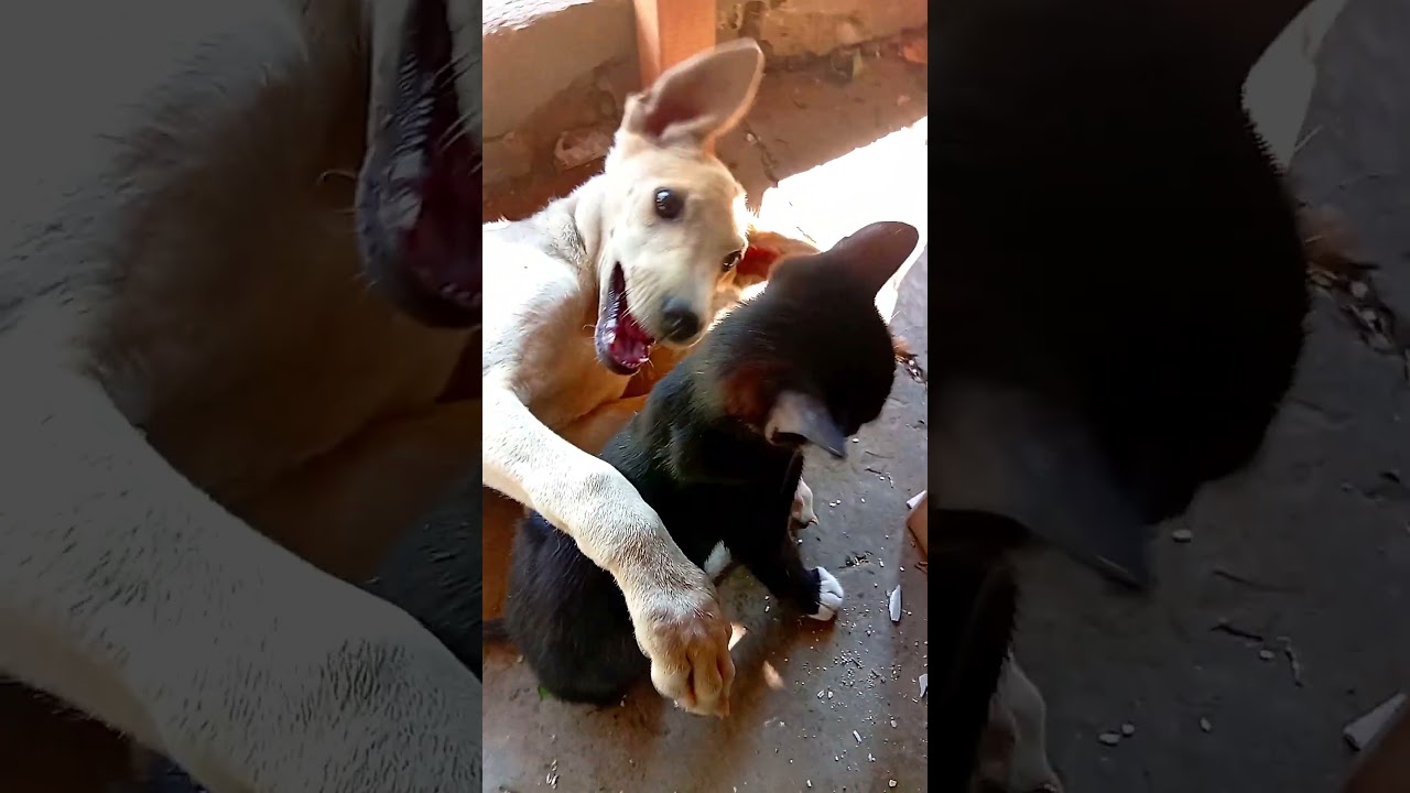 rare friendship😀😀