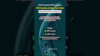 1550 Hz Rife Frequency | Parasite Cleanse & Detox Support Tone