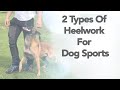2 Different Types Of Heelwork For Dog Sports