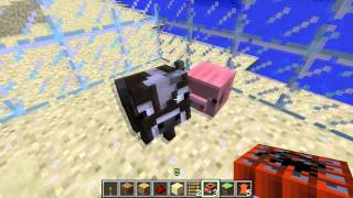 Minecraft  Baby Animals