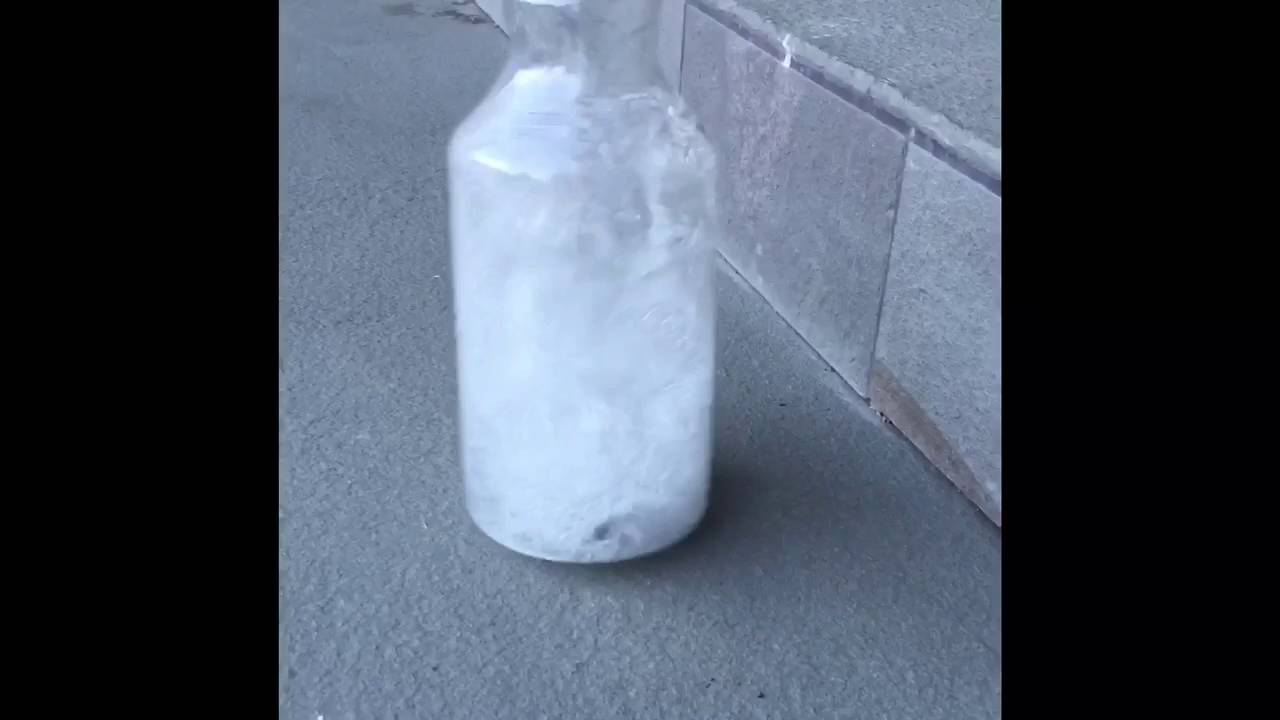 Epic Bottle Flip Compilation