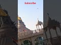 राम जी की चिड़िया #shorts #shortvideo #youtubeshorts