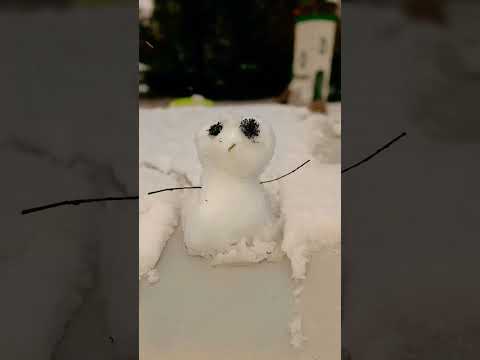 Image Youtube