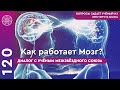 Как устроен мозг человека? Нейронные сети, разум, память, природа мыслей, связь с Духом. #120