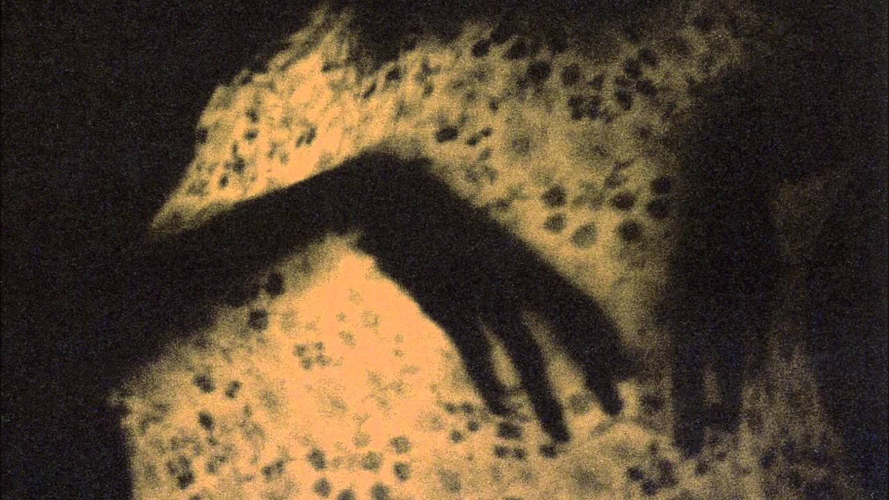 ⁣Spazzkid - 40 Winks (Tyord Remix)