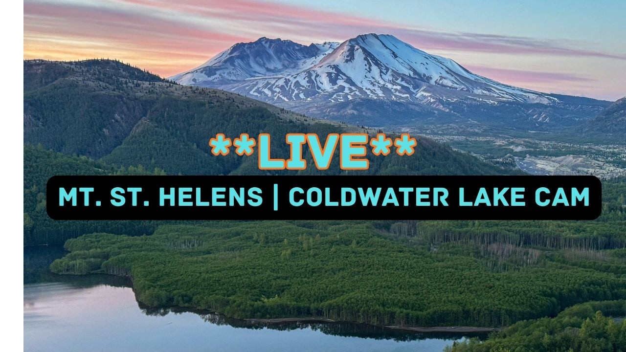 Mount St. Helens Coldwater Lake Weather Cam — Toutle, WA live camera thumbnail