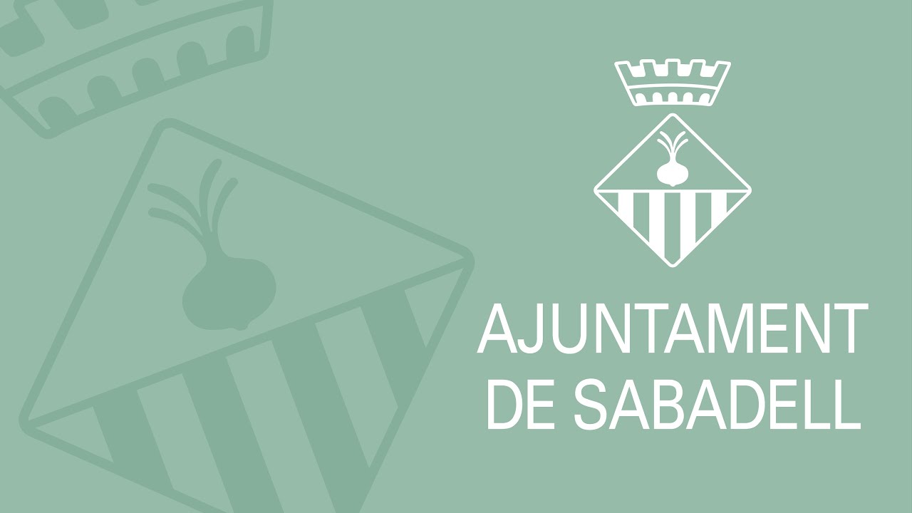 Ple ordinari - 23 de febrer de 2026