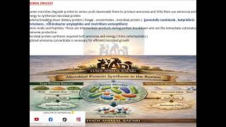 Ammonia Productiondetion Microbial Synthesis In The Rumen Overview