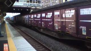 EF65-1095牽引 貨物 新白岡駅通過