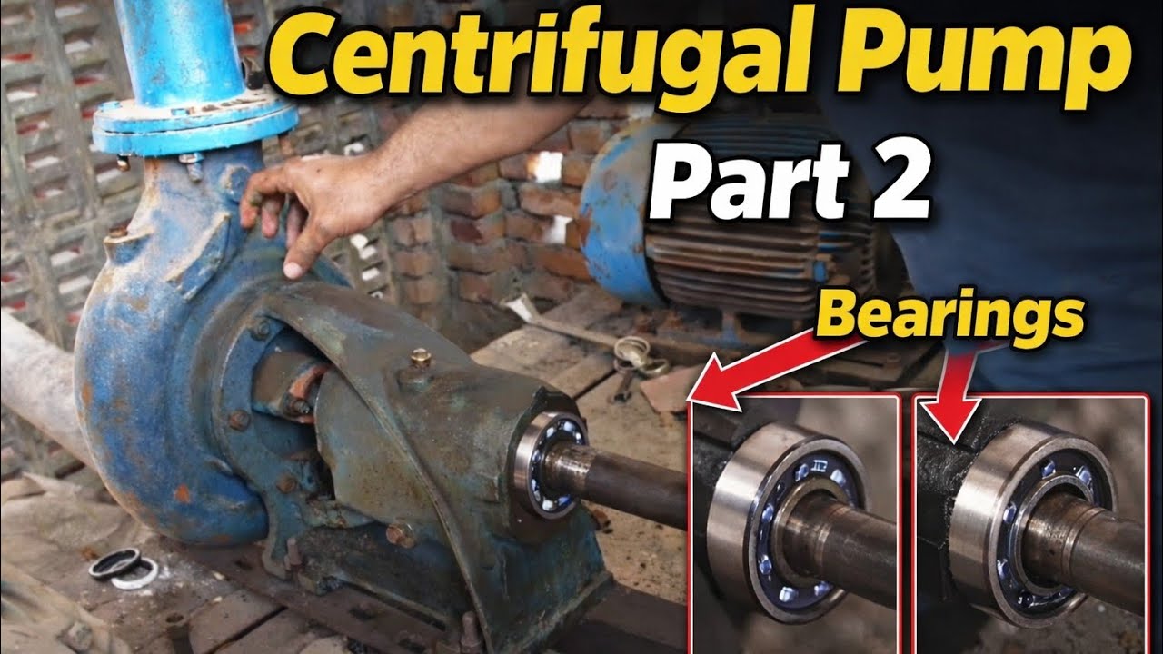 Centrifugal Pump Bearing Replacement | Complete Pump Repair Guide ...