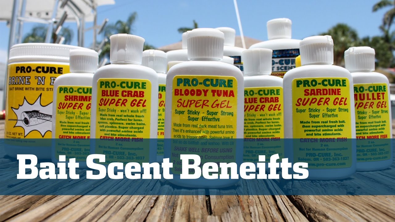 Two Cents About Bait Scents - Florida Sport Fishing TV - Does This