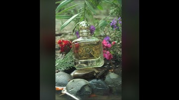 Photography was done by  Dishita  while learning the Camera Handling Course from XL Institute.