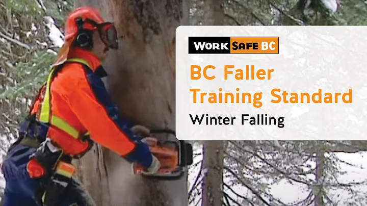 BC Faller Training Standard - Winter Falling (14 of 17)
