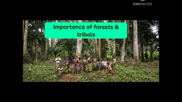 Importance of forests and tribals.              study with SANJEEV SINHA