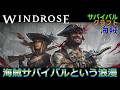【Windrose #20】海!海賊!お宝!そこには浪漫がある!【海賊・サバイバル・クラフト】