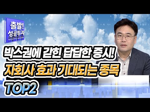 [<strong>최성환</strong> 지점장의 전략] 박스권에 갇힌 답답한 증시!자회사 효과 기대되는 종목 TOP2 / 머니투데이방송 (증시, 증권)
