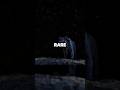 Rare Photos You've Probably Never Seen Before!