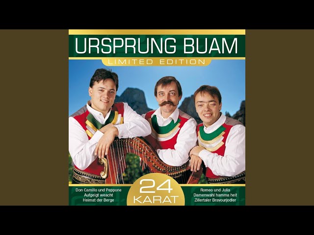 Ursprung Buam - A Diandl zum gearn hobn