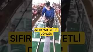 Bu Çiftçiler Ezber Bozuyor! Bir Taşla İki Kuş 🎯