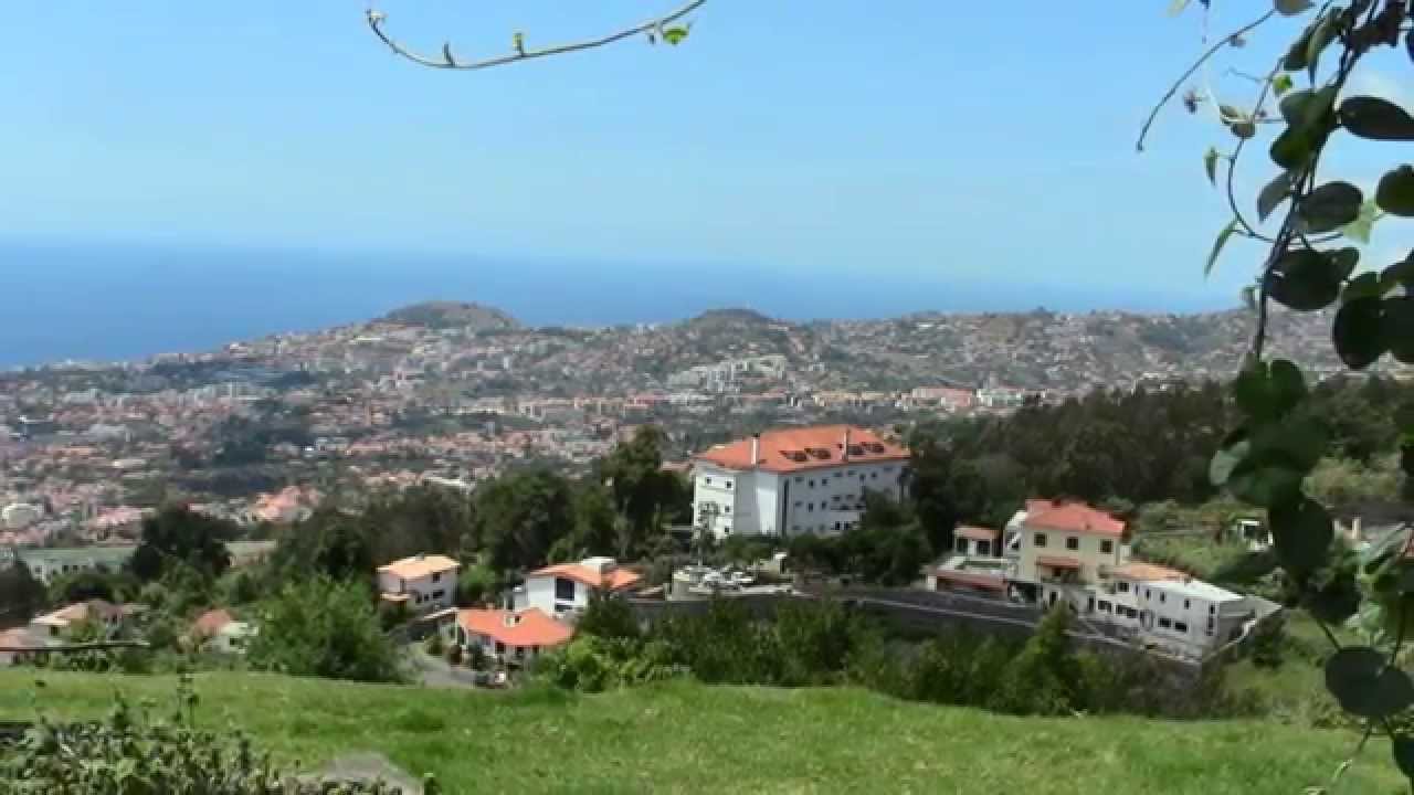 SAUDADE MADEIRA YouTube