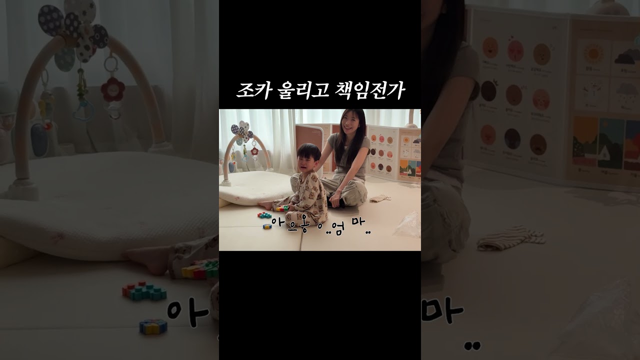 조카 울리고 책임전가