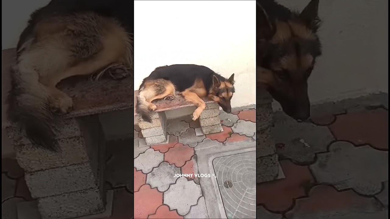 🤣 இந்த ஒரு விஷயம் மட்டும் புரியமாட்டேங்குது 🤔