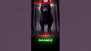 مررت بأيام تمنيت خلالها 