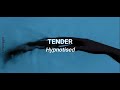 Tender - Hypnotised // Lyrics | Sub. Español