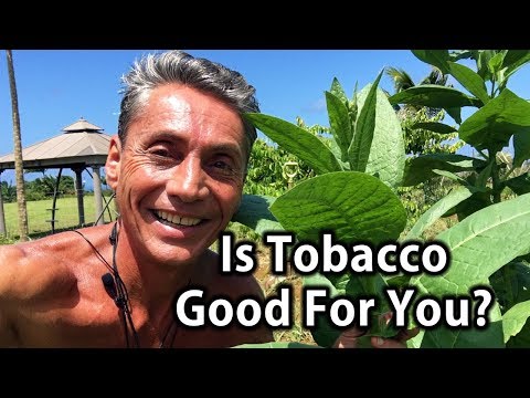 Video: Vonia tabakové rastliny?