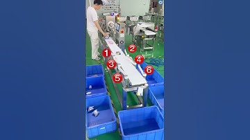 Weight sorting machine with 6 stages #weightchecker #checkweigher #factory
