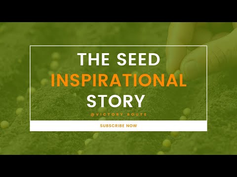 The seed inspirational story | Inspirational video - Victory Route