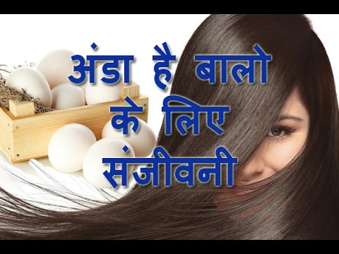 इन 6 तरीकों से अंडो का इस्तेमाल बालों और त्वचा को रखेगा मुलायम और चमकदार,  जानें इस्तेमाल की विधि | Jansatta