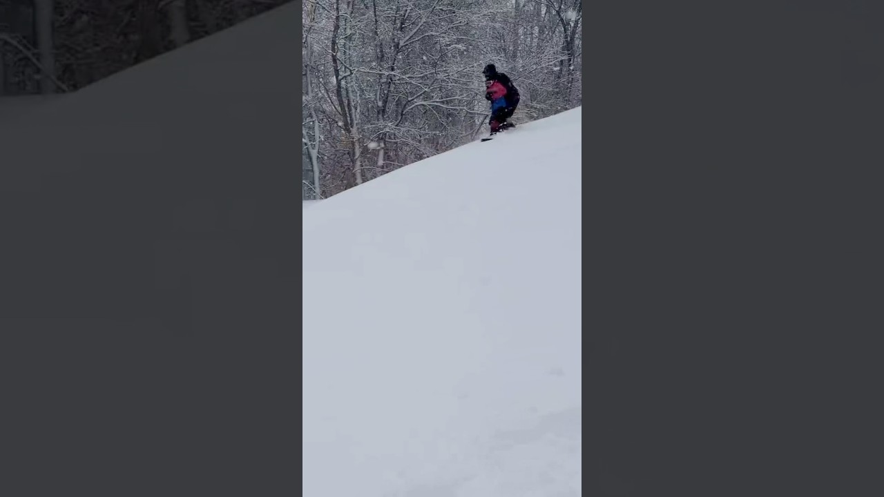 #Yukiita #Tandem #hokkaido #Ainu Dog