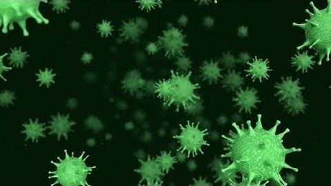 Movement Through a Cluster of a Deadly Viral Cells | Motion Graphics - Videohive template