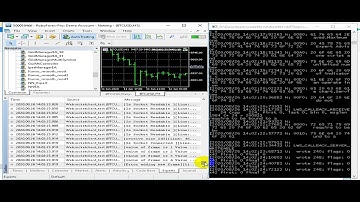 MetaTrader 5 websocket client Demo