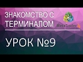 MetaTrader 4. Урок 9: Как открыть и закрыть сделку? Как выставить Take Profit и Stop Loss?