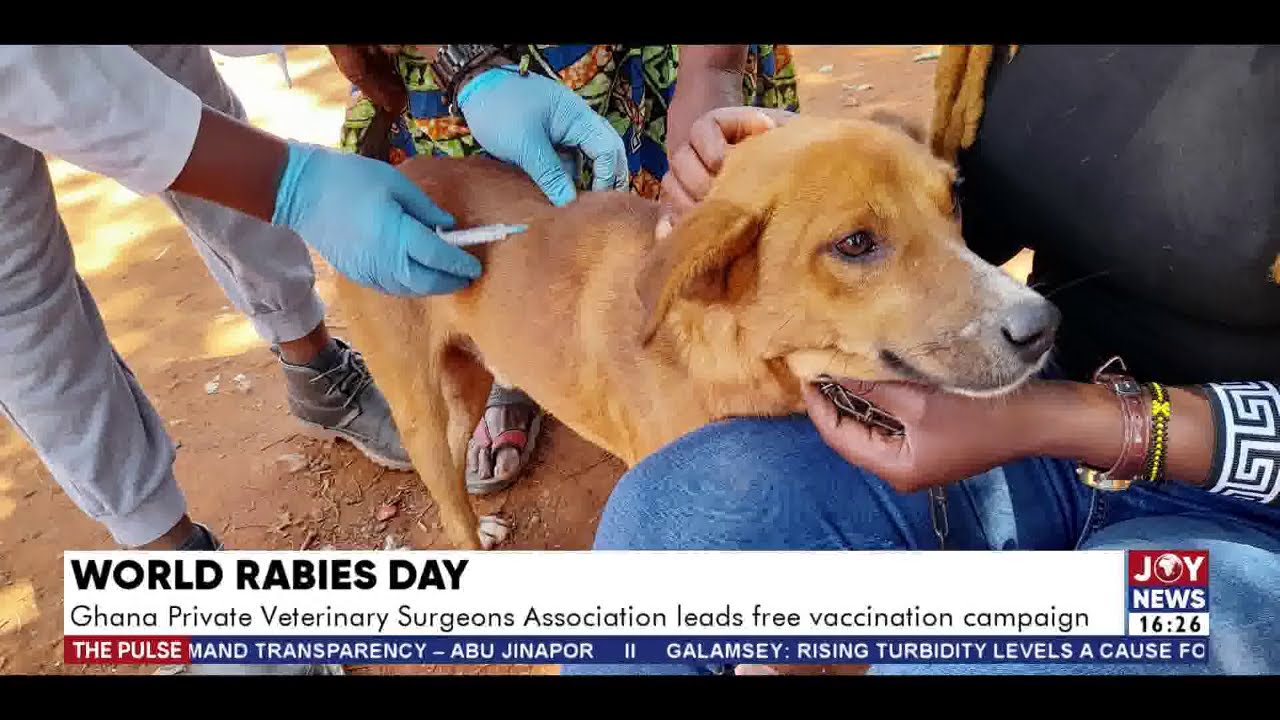 World Rabies Day: Ghana Private Veterinary Surgeons Association leads ...
