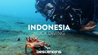 DESCENDING 4K | S1 E13 | Muck Dive