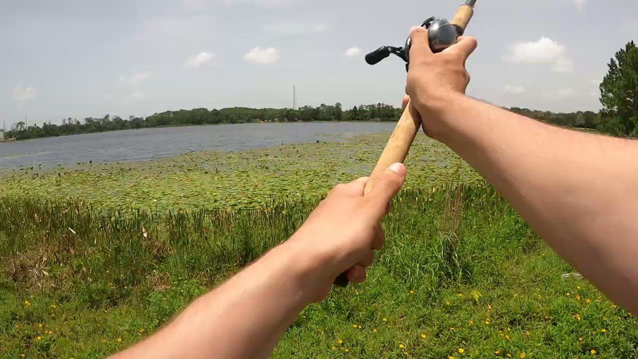 Bass fishing with frogs
