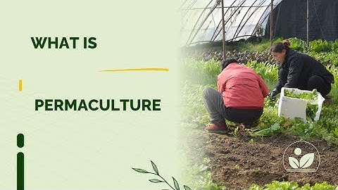 What is Permaculture??