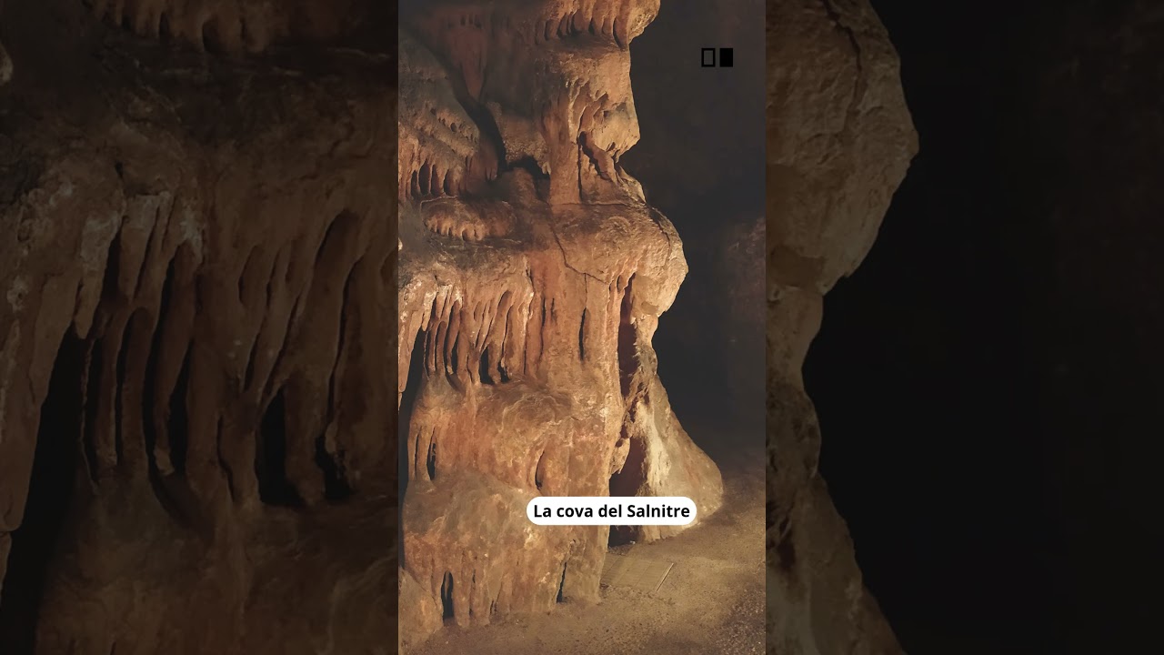 Curiositats naturals a prop de Barcelona