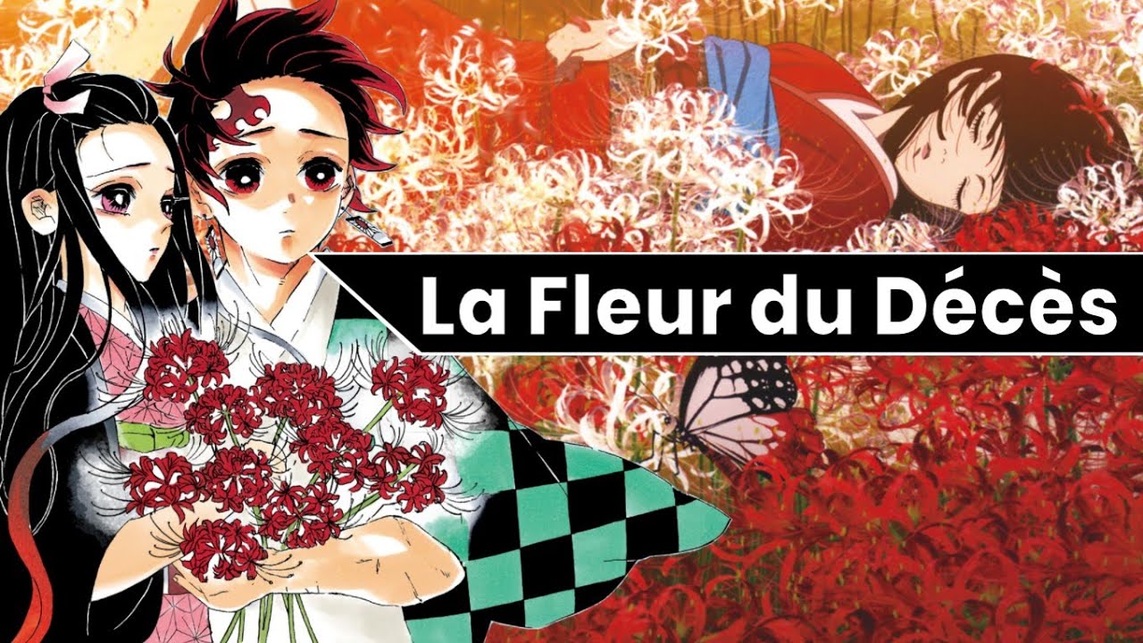 Pourquoi Cette Fleur est dans Chaque Anime/Manga (Lycoris Rouge
