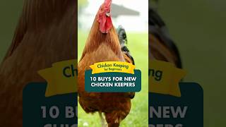 Chicken keeping for beginners - 10 buys for new chicken keepers. #shorts #chickencoop